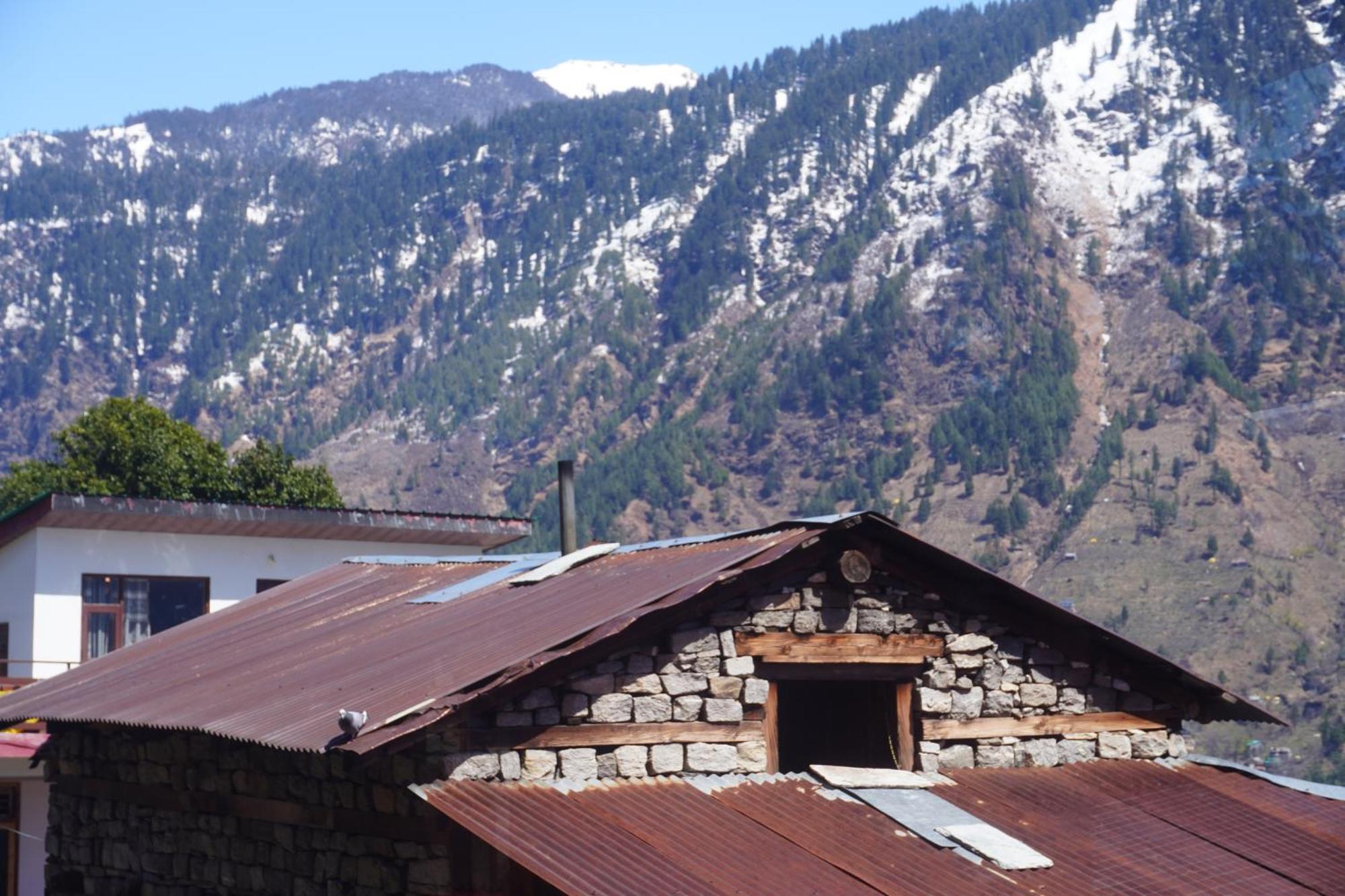Jamming Tree Inn Manali (Himachal Pradesh)